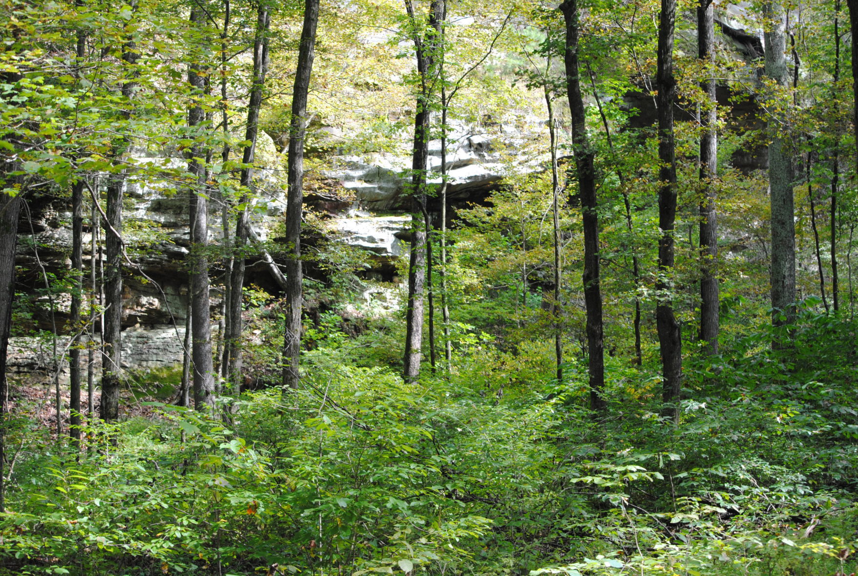 Rim Rock
